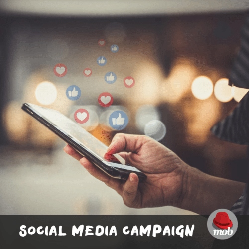 Social Media Campaign